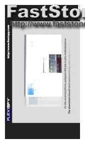 Flexispy Programas Similares